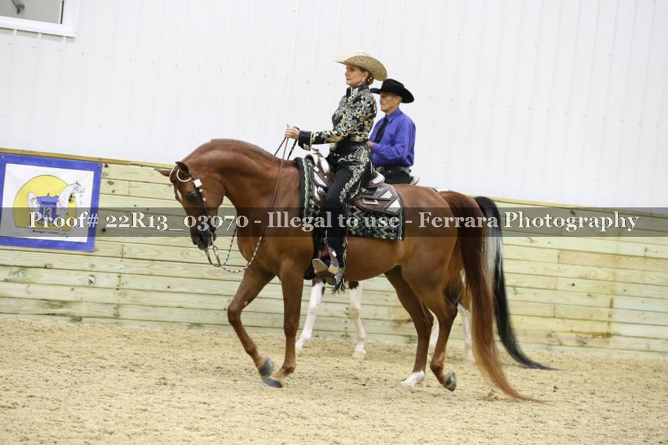 Proof 22R13_03070