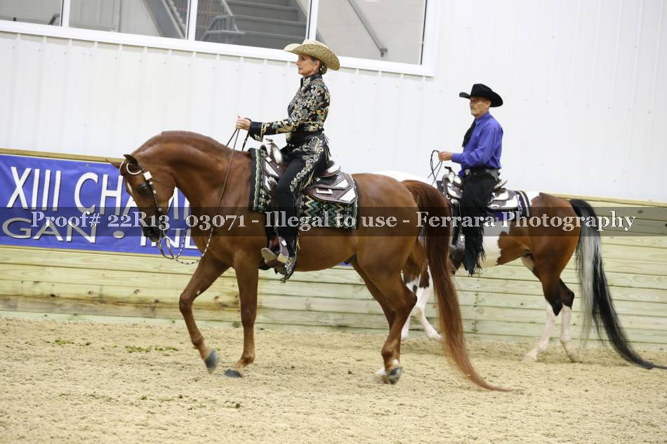 Proof 22R13_03071