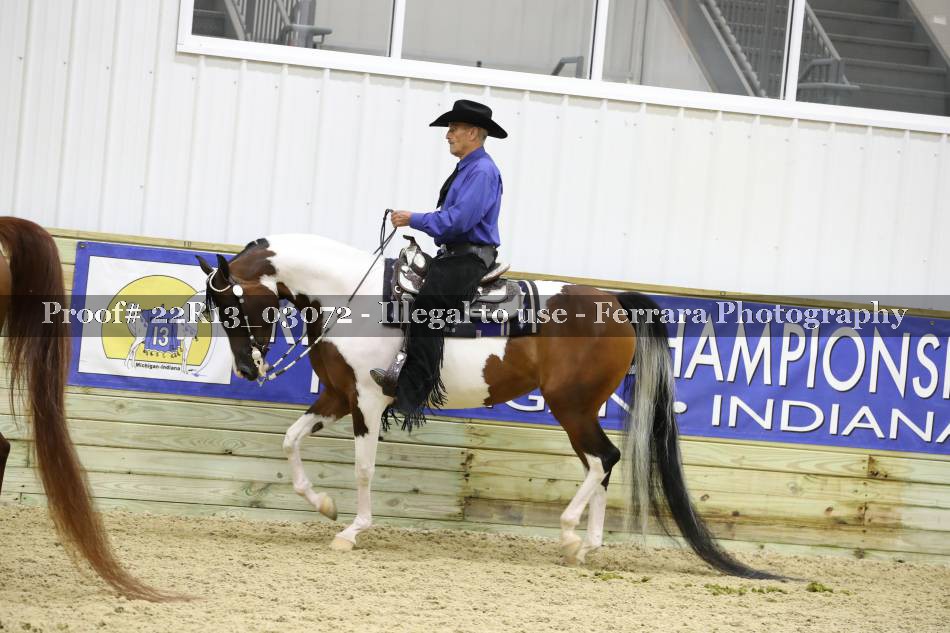 Proof 22R13_03072