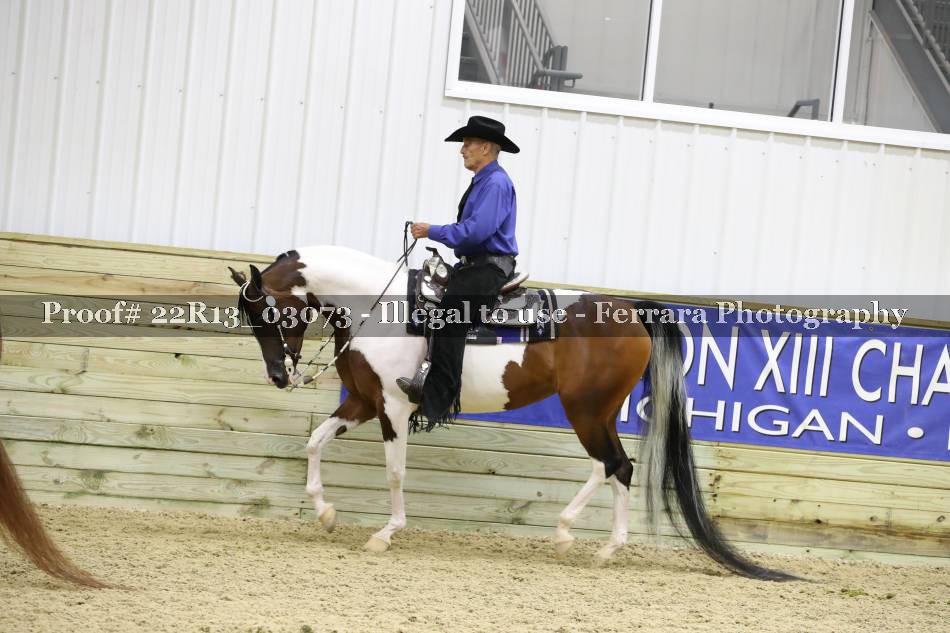 Proof 22R13_03073