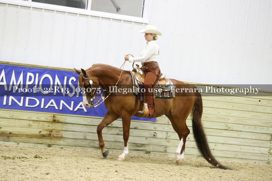 Proof 22R13_03075