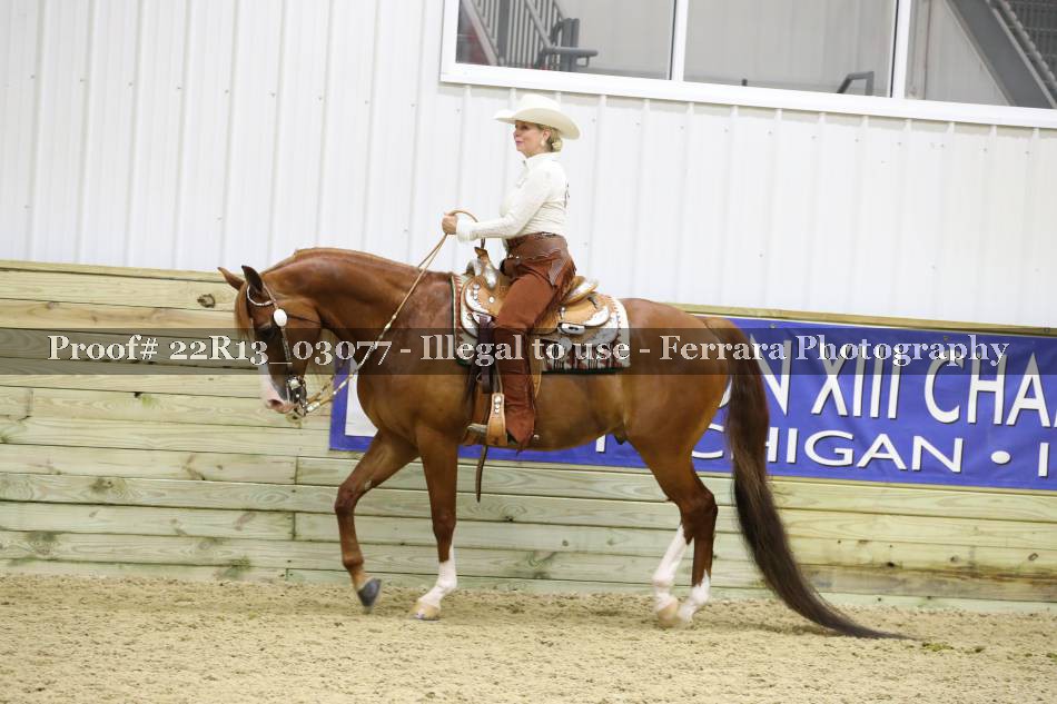 Proof 22R13_03077