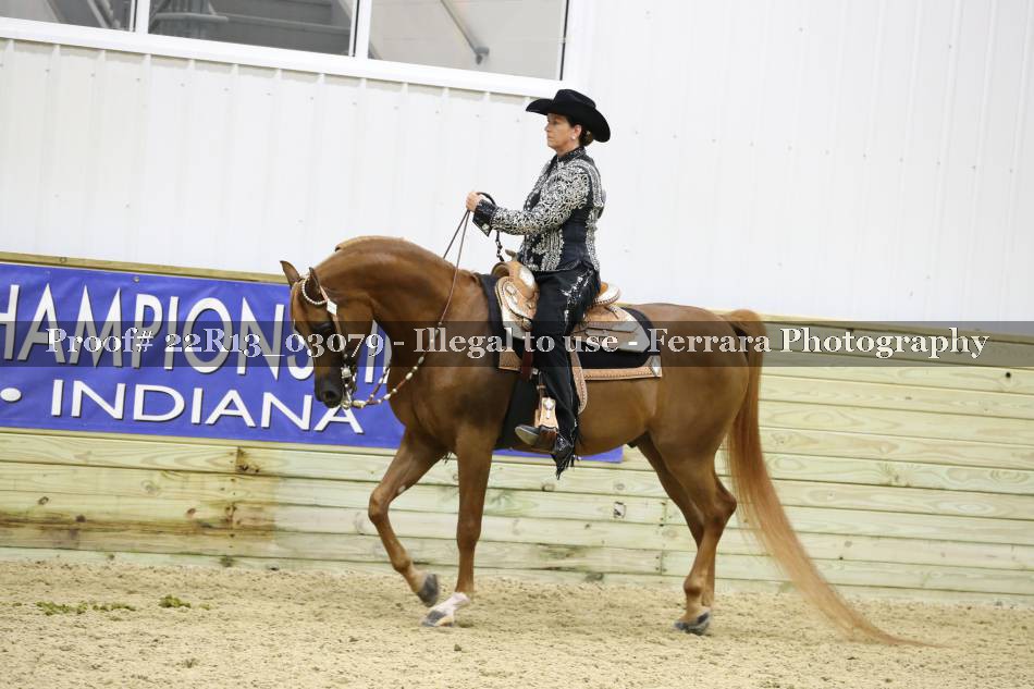 Proof 22R13_03079