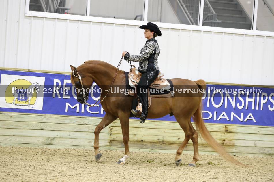 Proof 22R13_03080