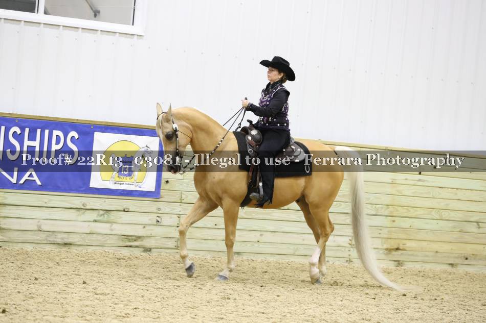 Proof 22R13_03081