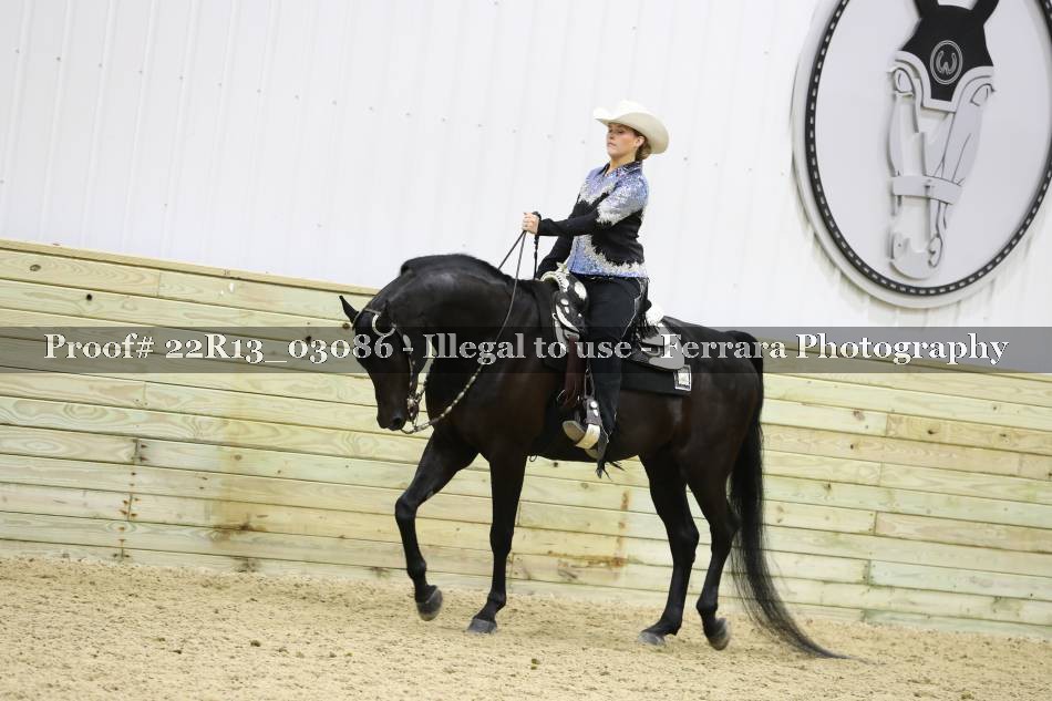 Proof 22R13_03086