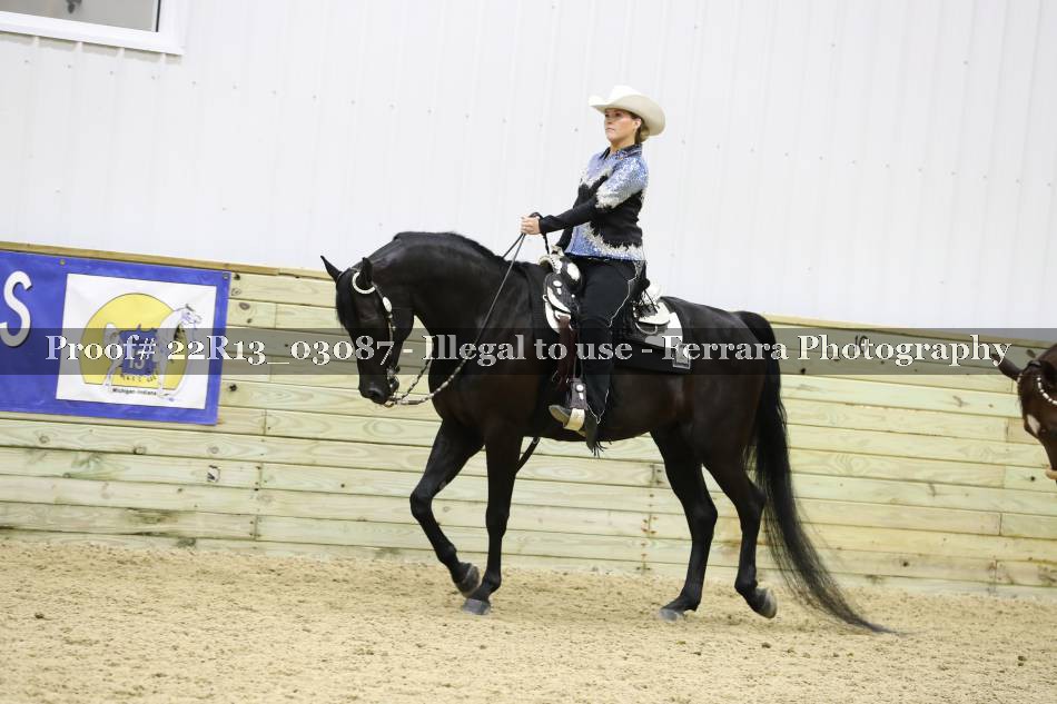 Proof 22R13_03087