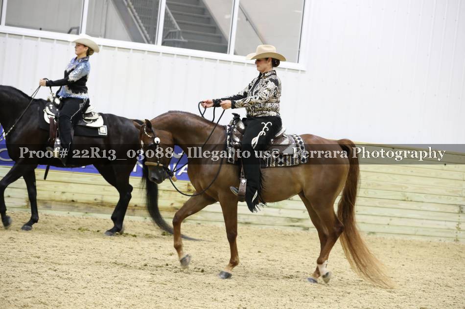 Proof 22R13_03088