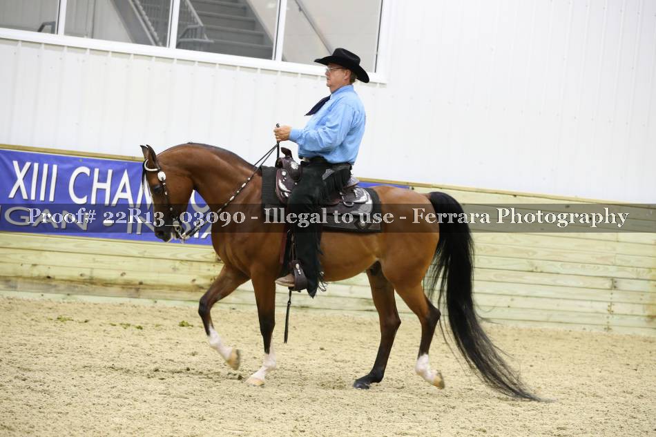 Proof 22R13_03090