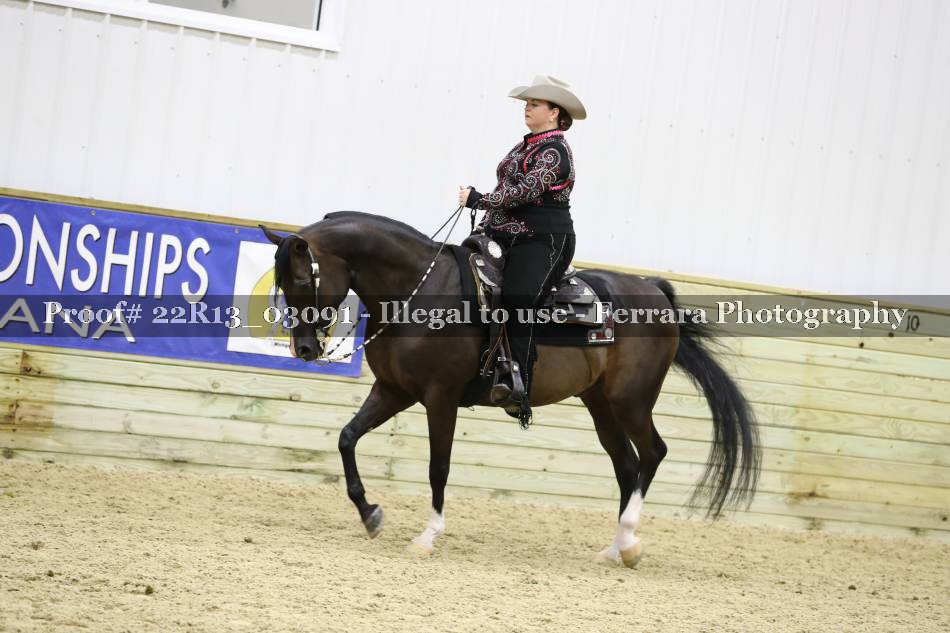 Proof 22R13_03091