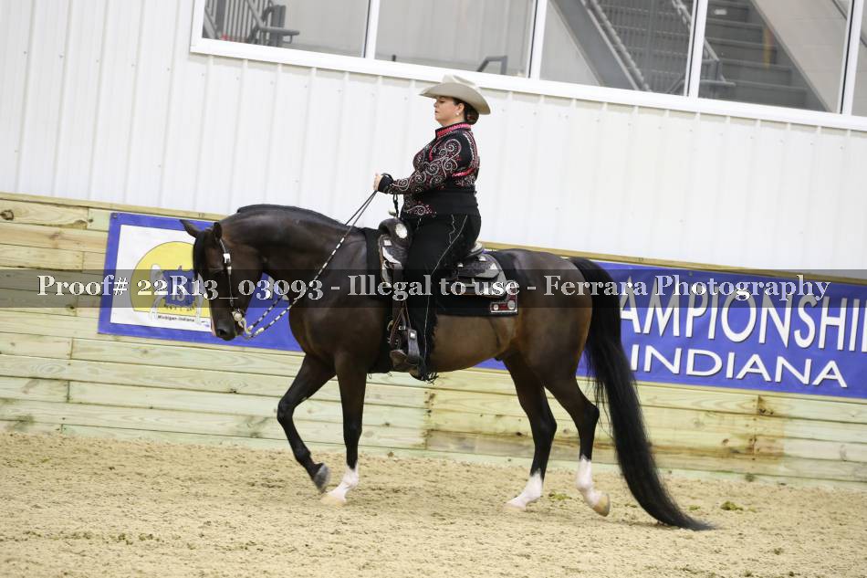 Proof 22R13_03093