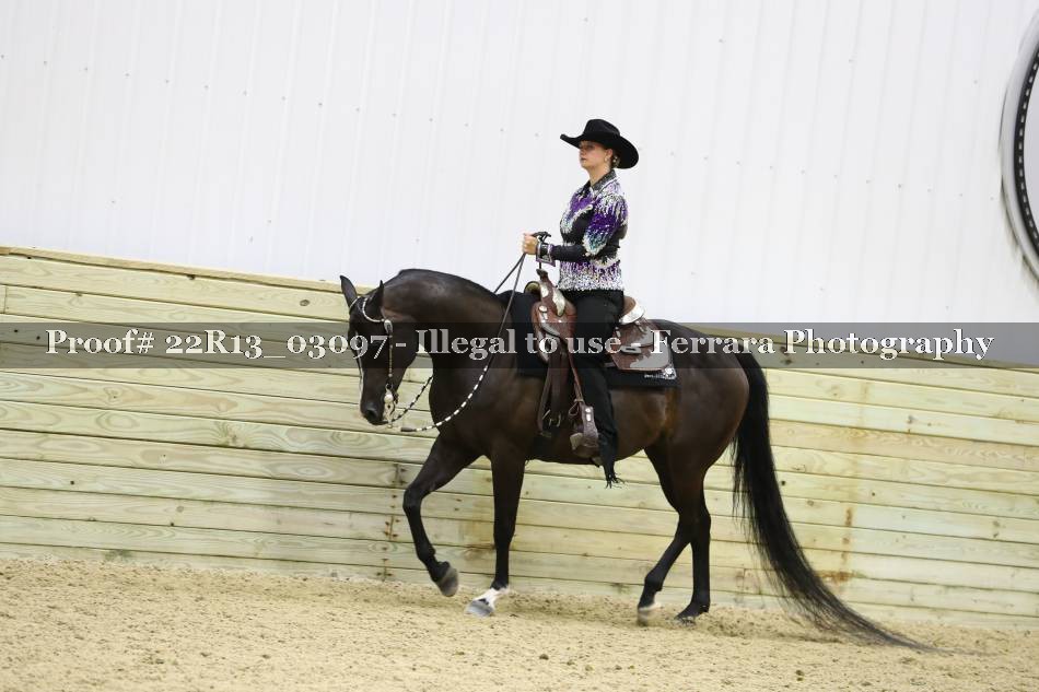 Proof 22R13_03097