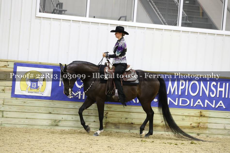 Proof 22R13_03099