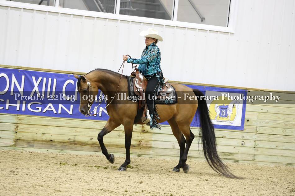 Proof 22R13_03101