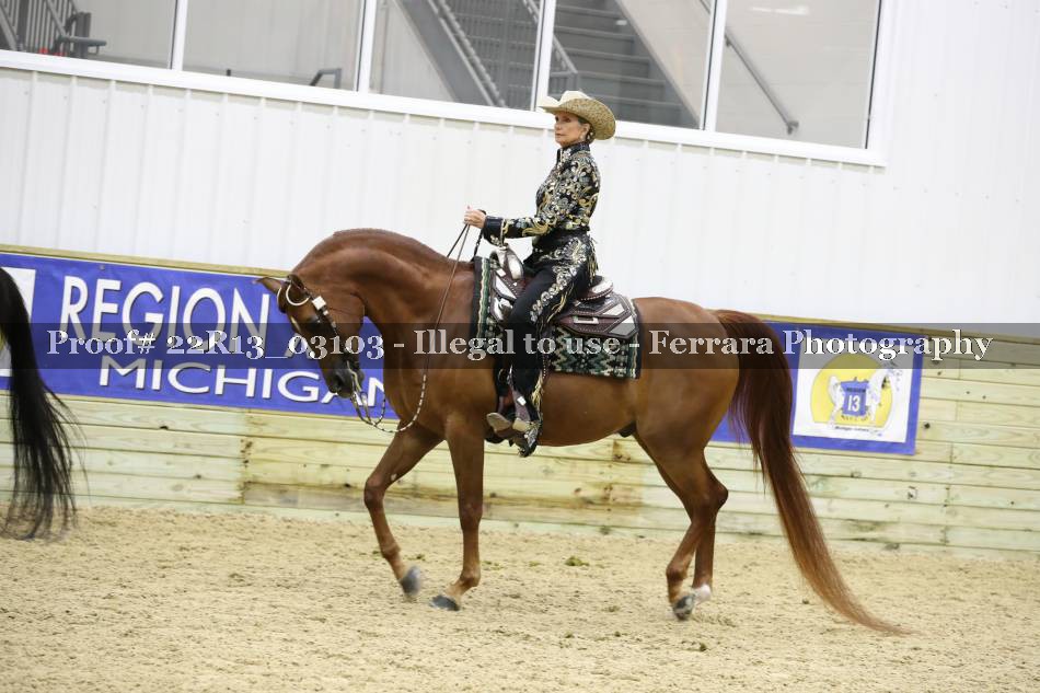 Proof 22R13_03103