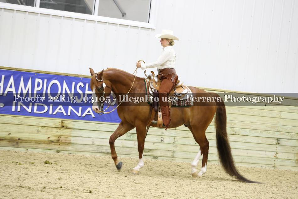 Proof 22R13_03105