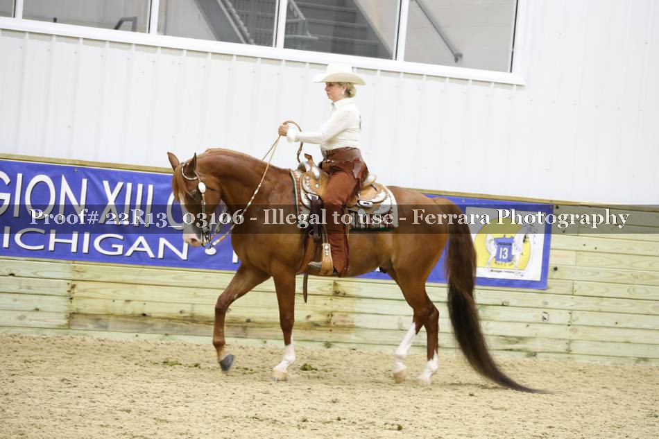 Proof 22R13_03106