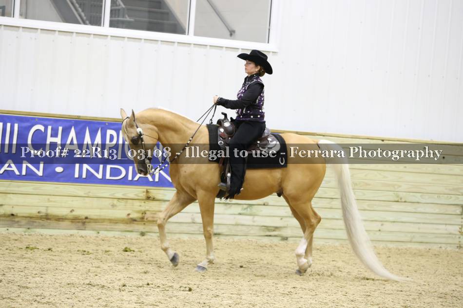 Proof 22R13_03108