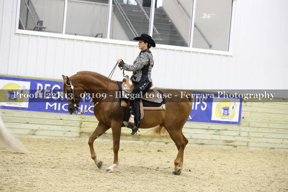 Proof 22R13_03109