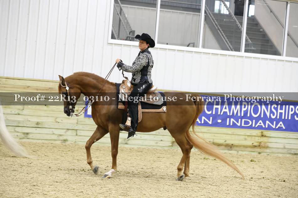 Proof 22R13_03110