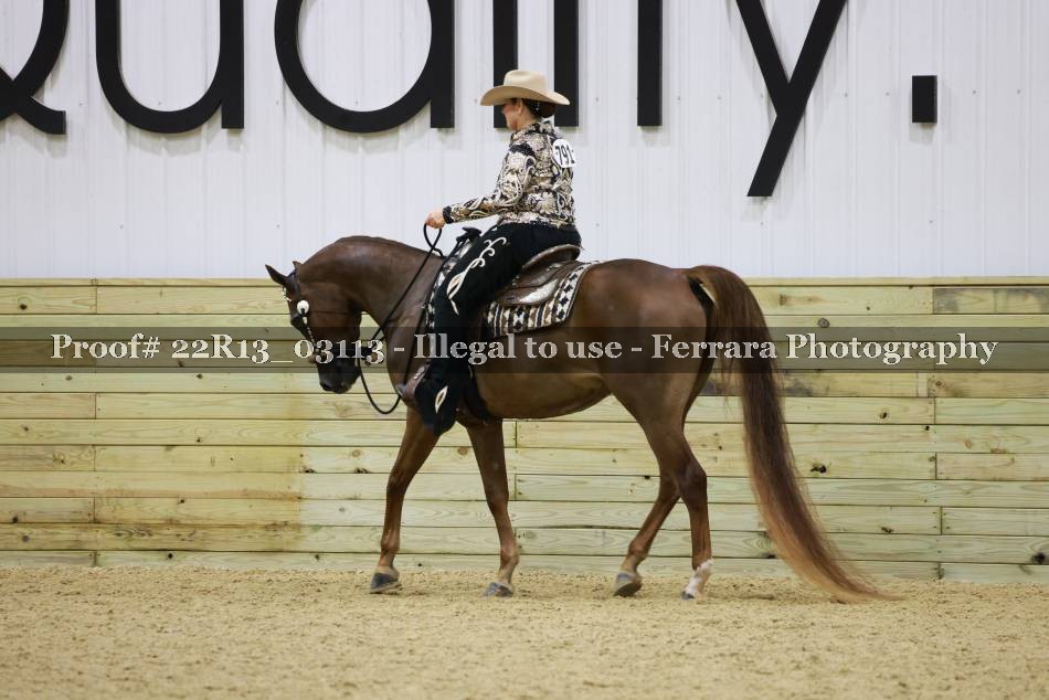 Proof 22R13_03113