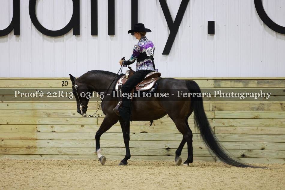 Proof 22R13_03115