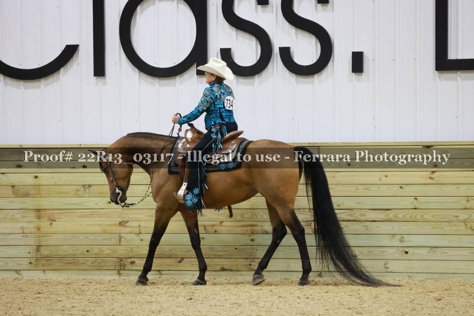 Proof 22R13_03117