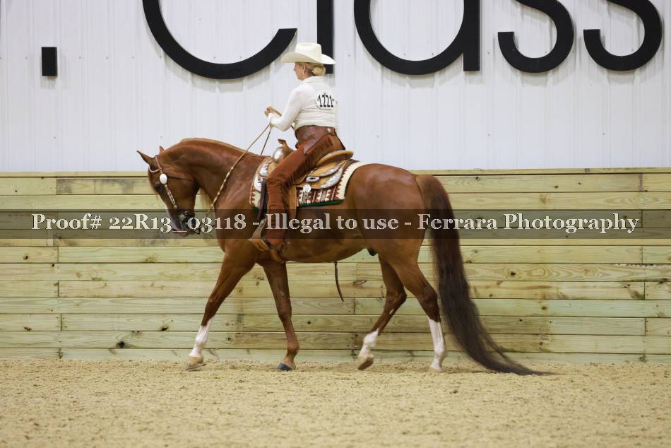 Proof 22R13_03118
