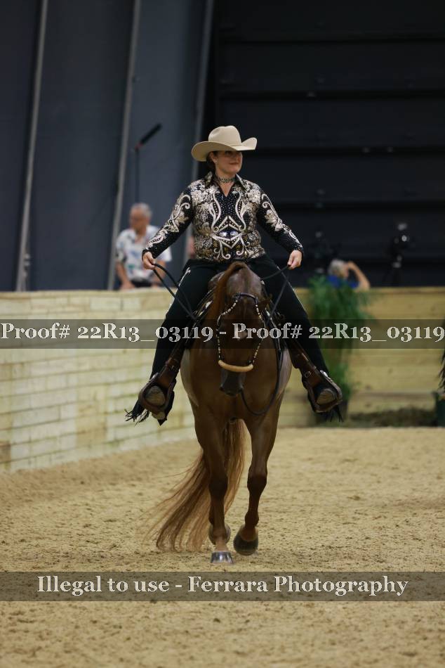 Proof 22R13_03119