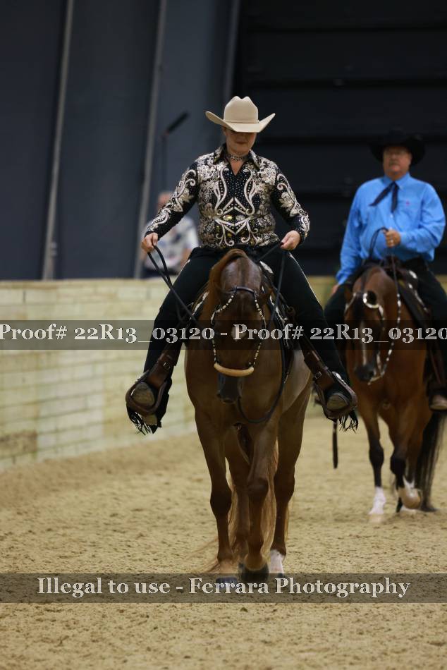 Proof 22R13_03120