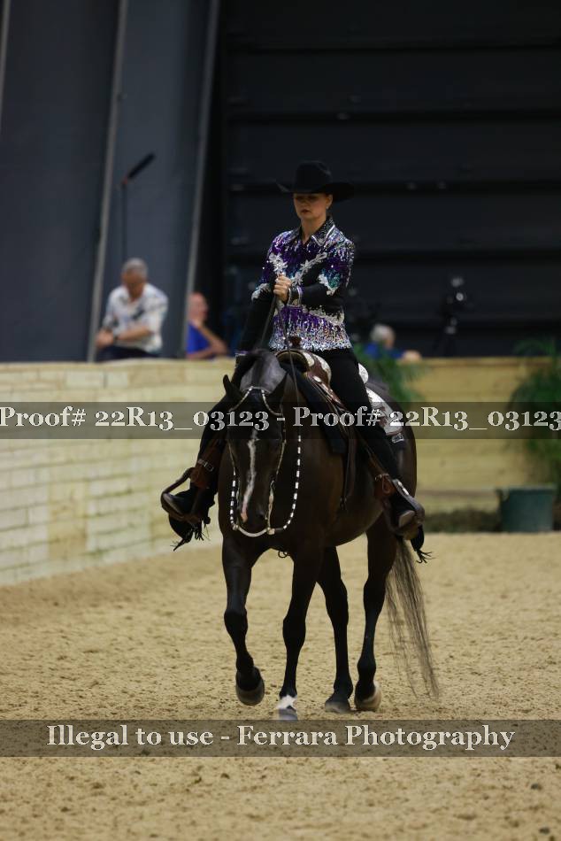 Proof 22R13_03123