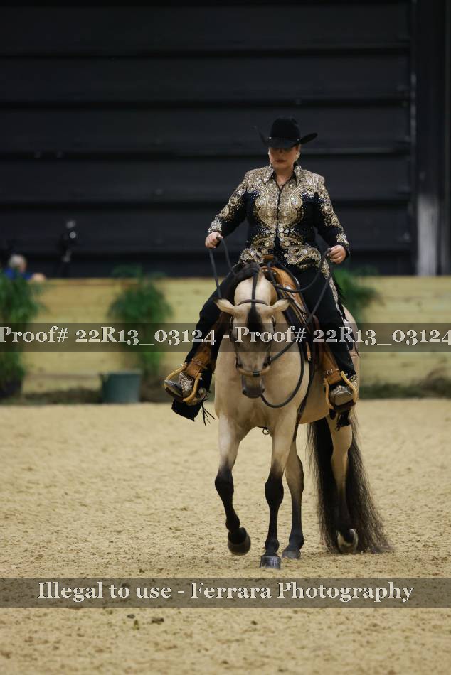 Proof 22R13_03124