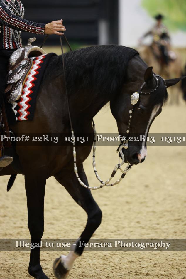 Proof 22R13_03131
