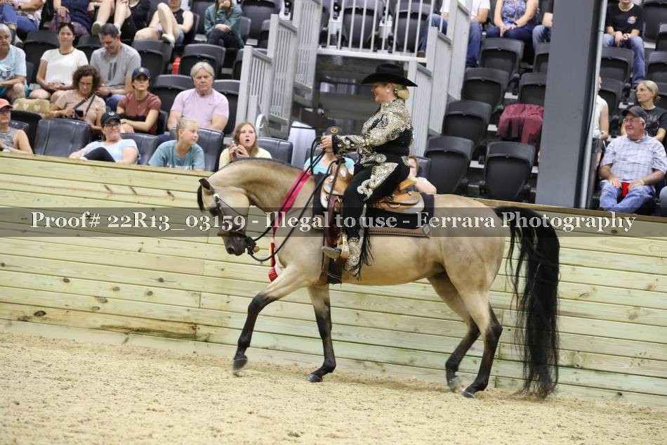 Proof 22R13_03159