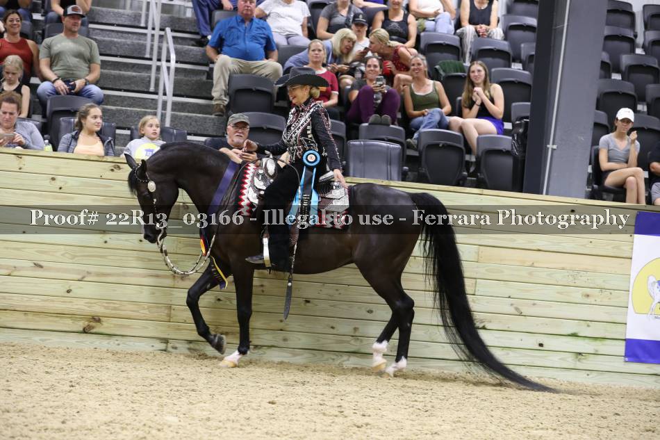 Proof 22R13_03166