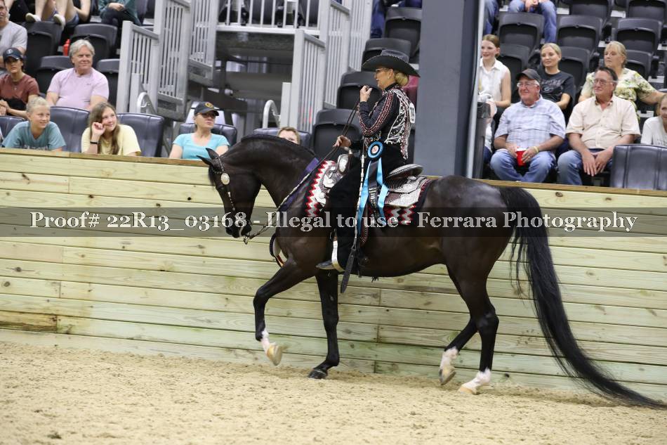 Proof 22R13_03168