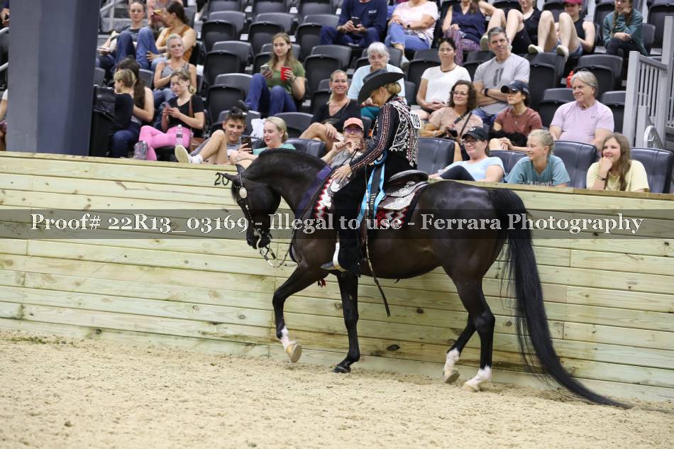 Proof 22R13_03169