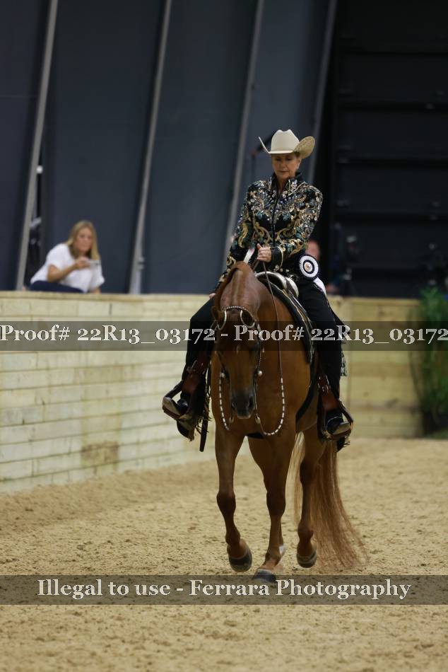 Proof 22R13_03172