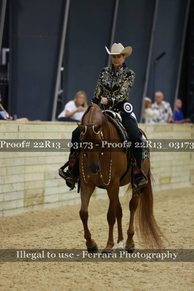 Proof 22R13_03173