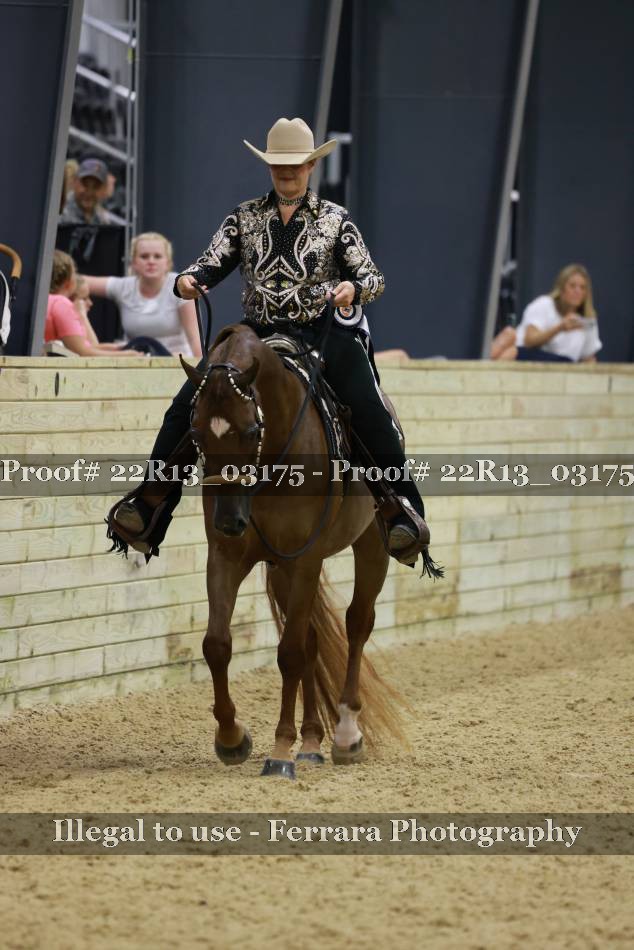 Proof 22R13_03175