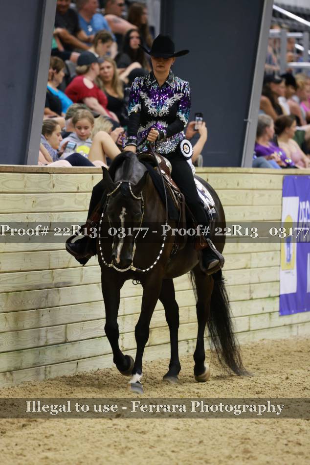 Proof 22R13_03177