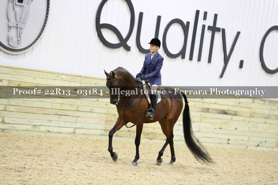 Proof 22R13_03184