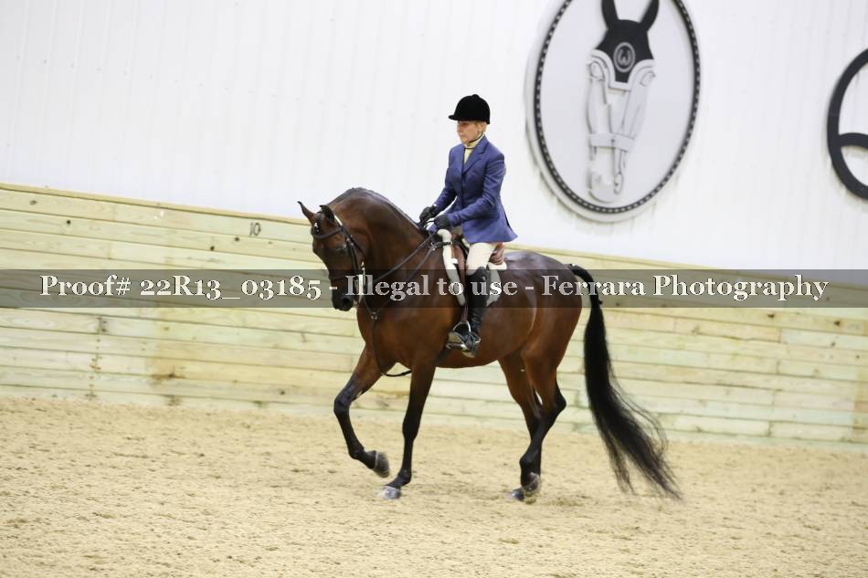 Proof 22R13_03185