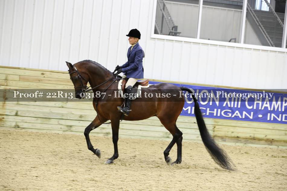 Proof 22R13_03187