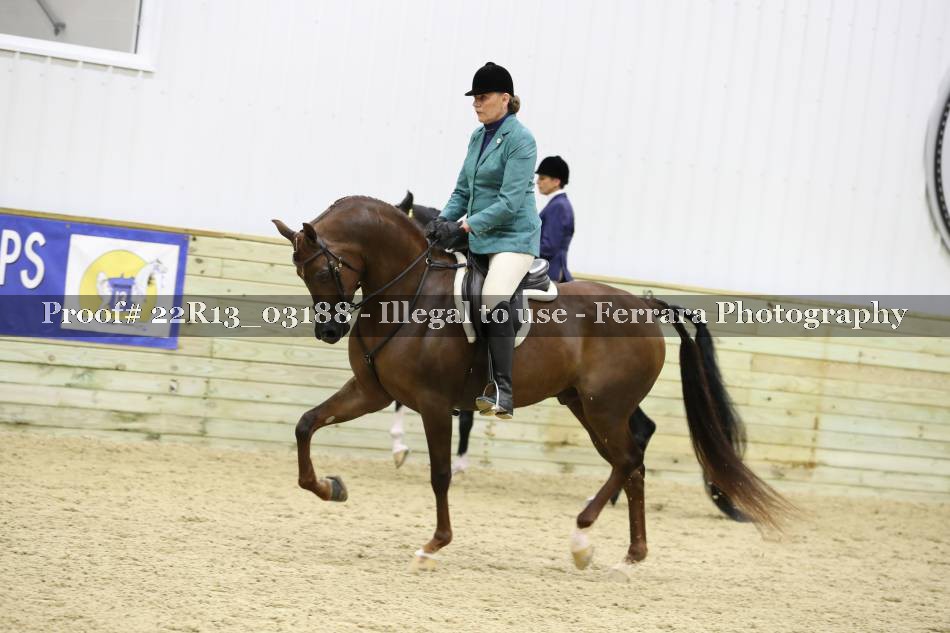 Proof 22R13_03188
