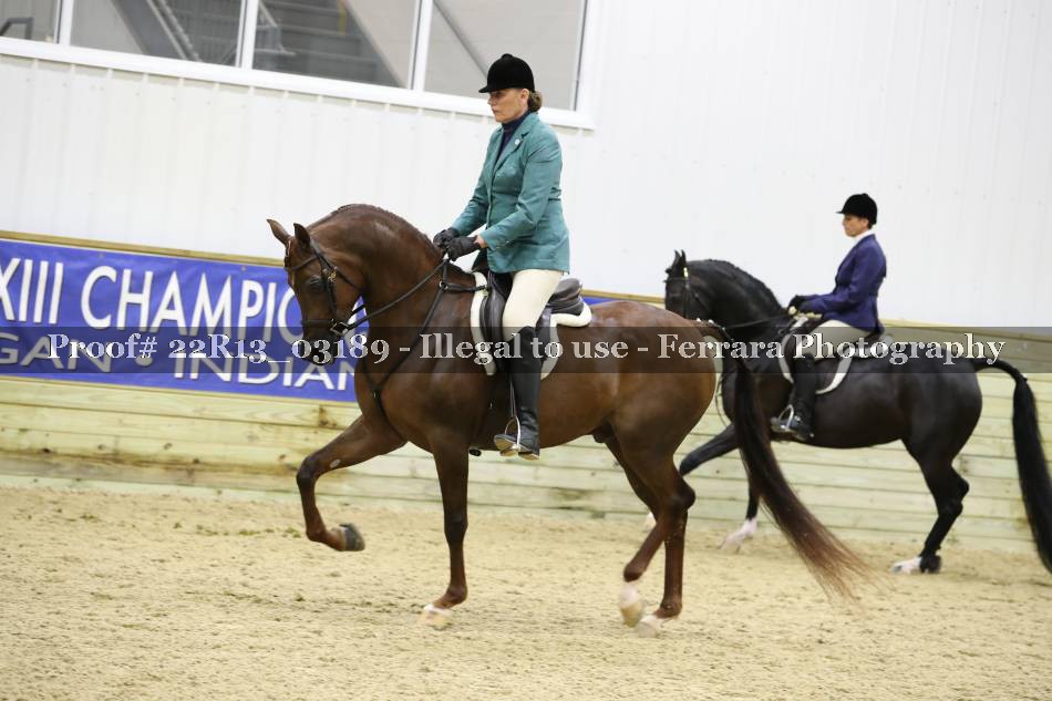 Proof 22R13_03189