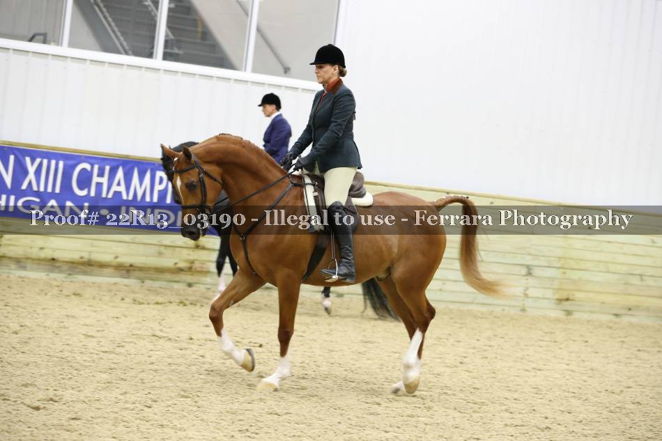Proof 22R13_03190