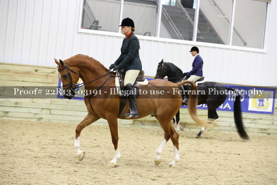 Proof 22R13_03191