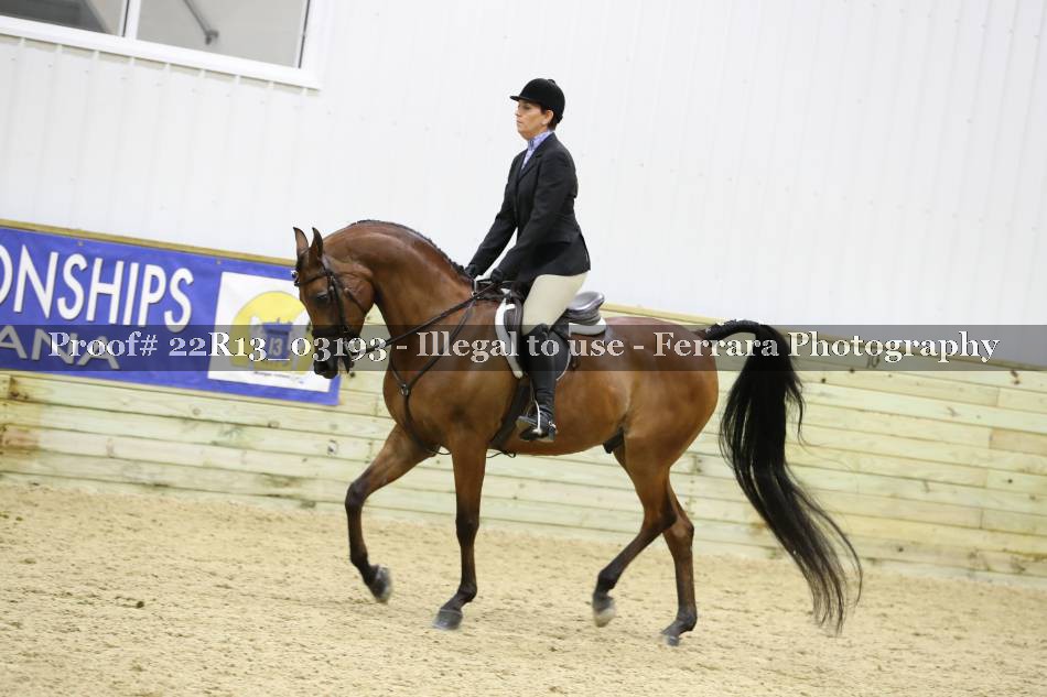 Proof 22R13_03193