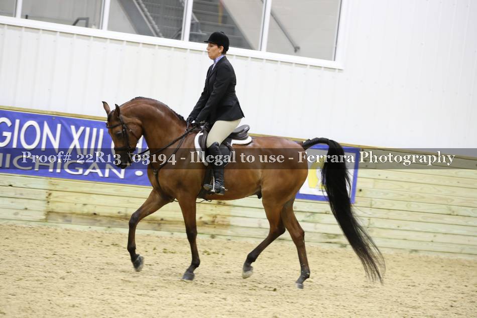 Proof 22R13_03194